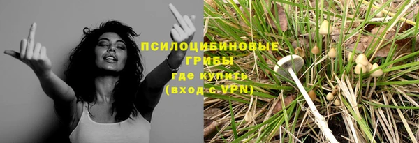 герыч Алзамай